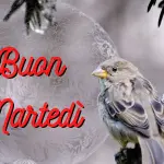 Buongiorno Buon Martedi 10 Gennaio 2023: immagini e frasi nuove