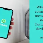 WhatsApp: come inviare messaggi a te stesso. Tutto ciò che devi sapere
