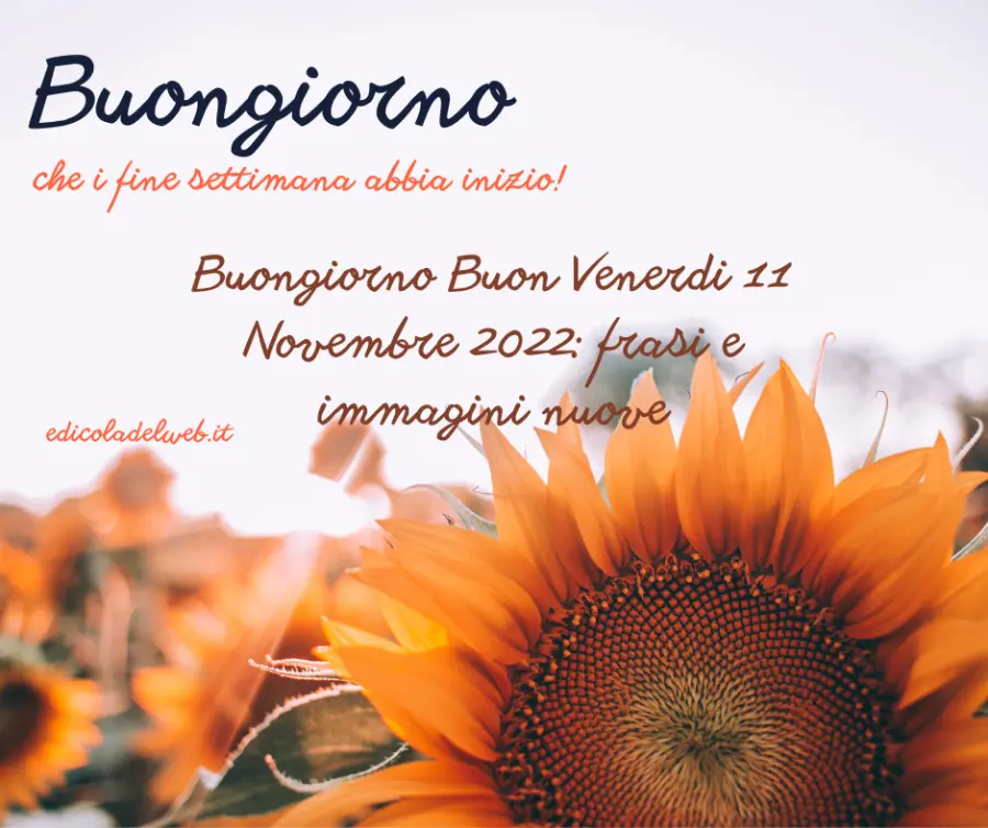 Buongiorno Buon Venerdi 11 Novembre 2022: frasi e immagini nuove