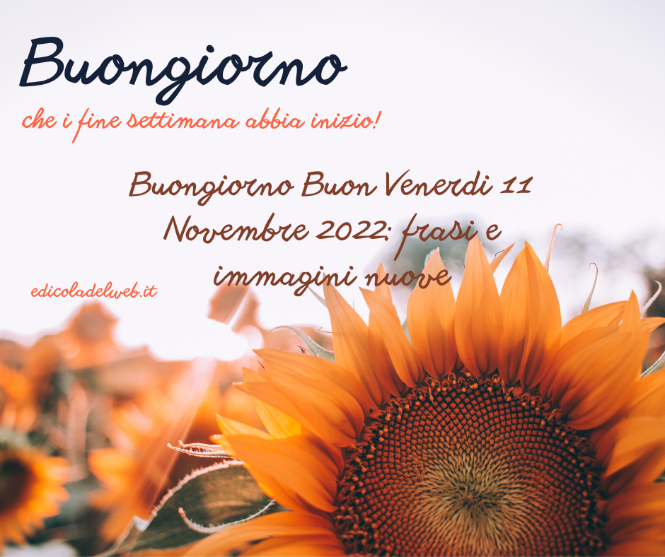 Buongiorno Buon Venerdi 11 Novembre 2022: frasi e immagini nuove