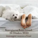 Buongiorno Buon Lunedì 24 Ottobre 2022: immagini nuove e frasi da copiare