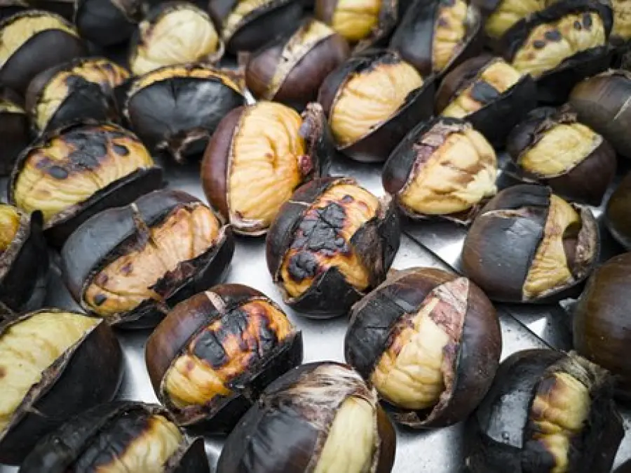 Come conservare le Castagne: appena raccolte, crude, bollite o cotte al forno