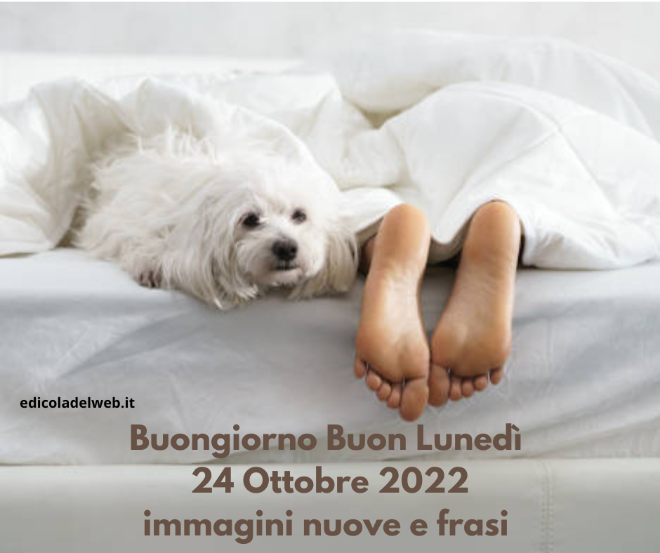 Buongiorno Buon Lunedì 24 Ottobre 2022: immagini nuove e frasi da copiare