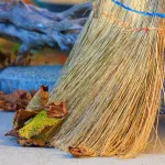Foglie secche: come rastrellarle in modo semplice. 7 consigli e trucchi