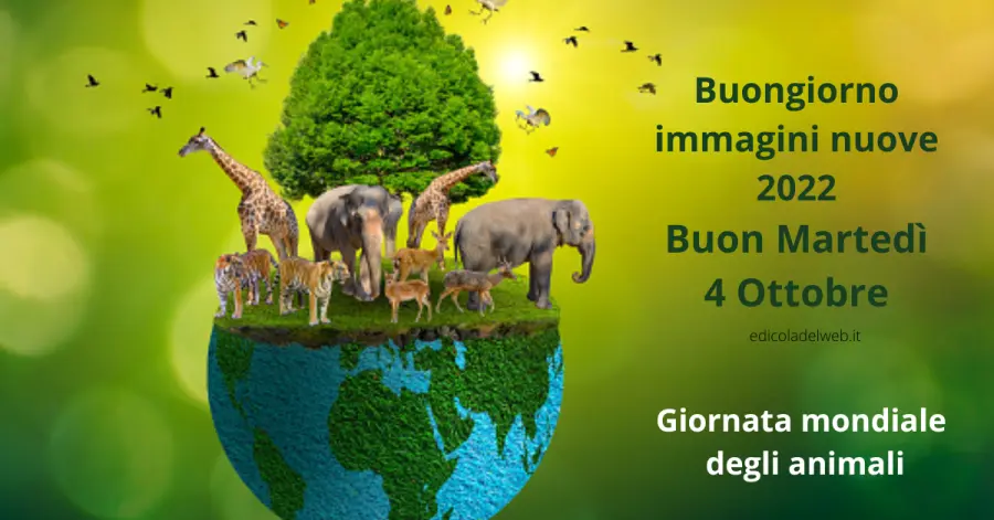 Buongiorno immagini nuove 2022, Buon Martedì GIF, Giornata mondiale degli animali 4 Ottobre