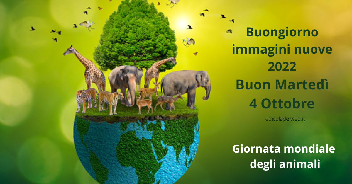 Buongiorno immagini nuove 2022, Buon Martedì GIF, Giornata mondiale degli animali 4 Ottobre