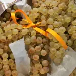 Frutta di stagione Settembre. Che frutta e verdura c'è a settembre?￼