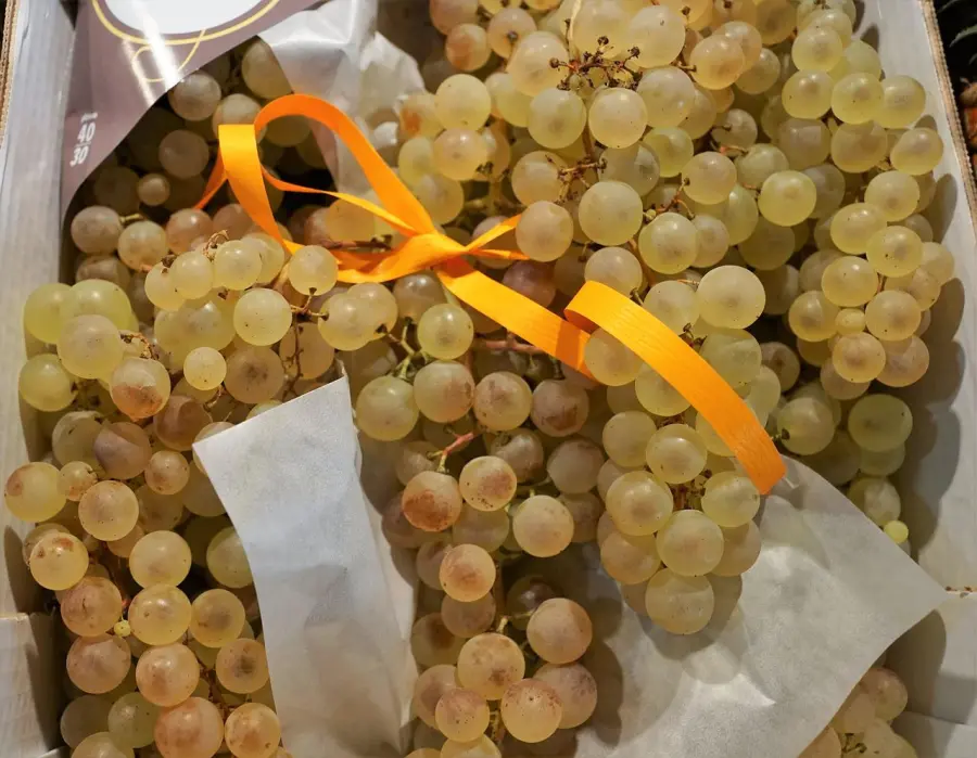 Frutta di stagione Settembre. Che frutta e verdura c'è a settembre?￼