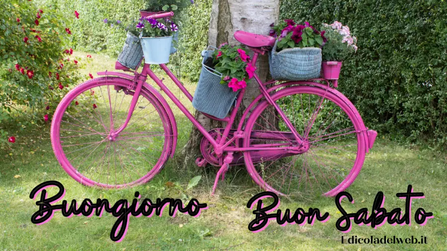 Buongiorno e Buon Sabato 6 agosto: immagini nuove 2022