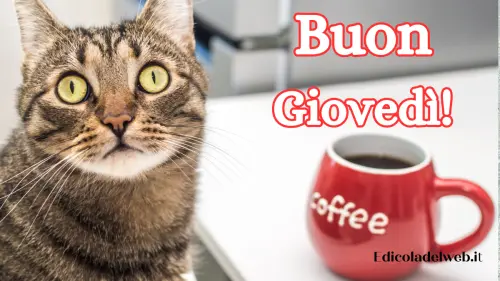 Buongiorno Buon Giovedi marzo: immagini e frasi nuove