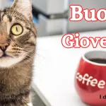 Buongiorno Buon Giovedi marzo: immagini e frasi nuove