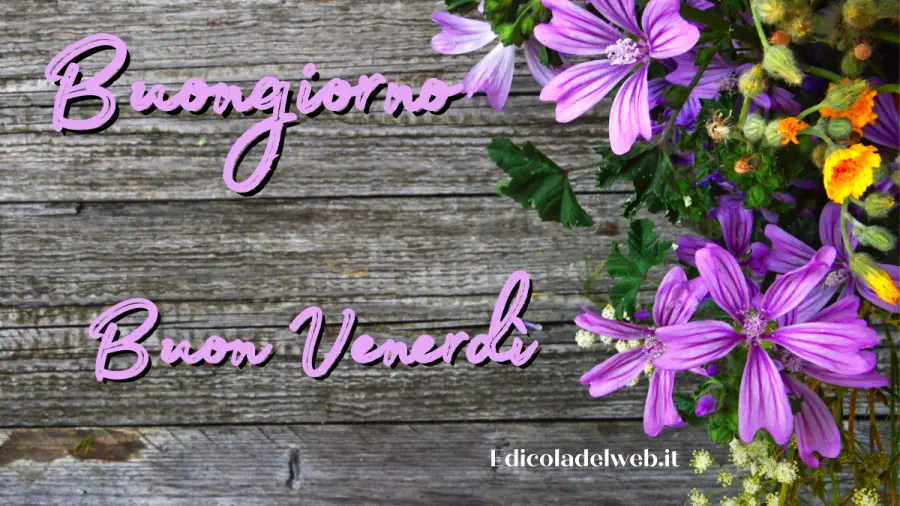 Buongiorno e Buon Venerdì 29 luglio: immagini nuove 2022