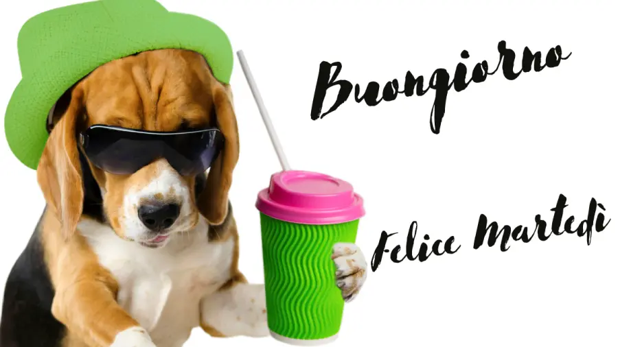 Buongiorno e Buon Martedì 26 luglio: immagini nuove 2022