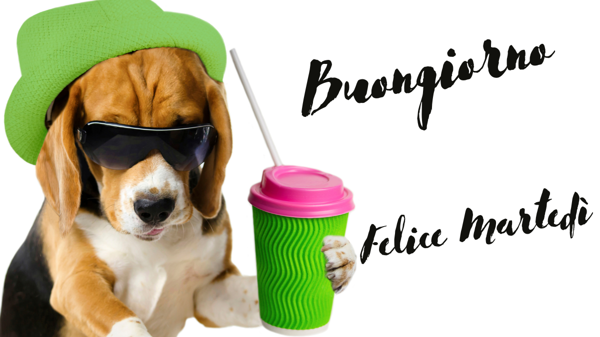 Buongiorno e Buon Martedì 26 luglio: immagini nuove 2022