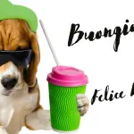 Buongiorno e Buon Martedì 26 luglio: immagini nuove 2022