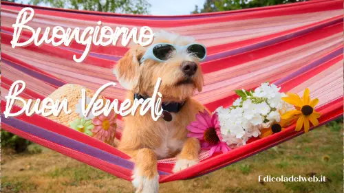 Buongiorno e Buon Venerdì 15 luglio: immagini nuove 2022