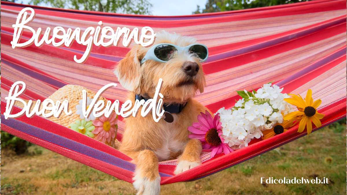Buongiorno e Buon Venerdì 15 luglio: immagini nuove 2022