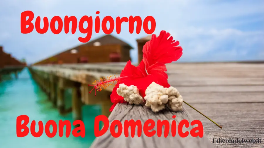 Buongiorno e Buona Domenica 3 luglio: immagini nuove 2022