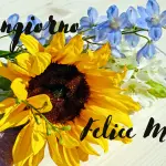 Buongiorno e Buon Martedì 28 giugno: immagini nuove 2022