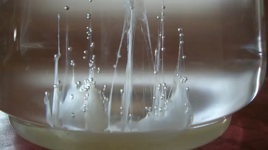 Barca di San Pietro con uovo come fare?