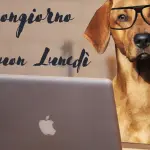 Buongiorno e Buon Lunedì 13 giugno: immagini nuove 2022