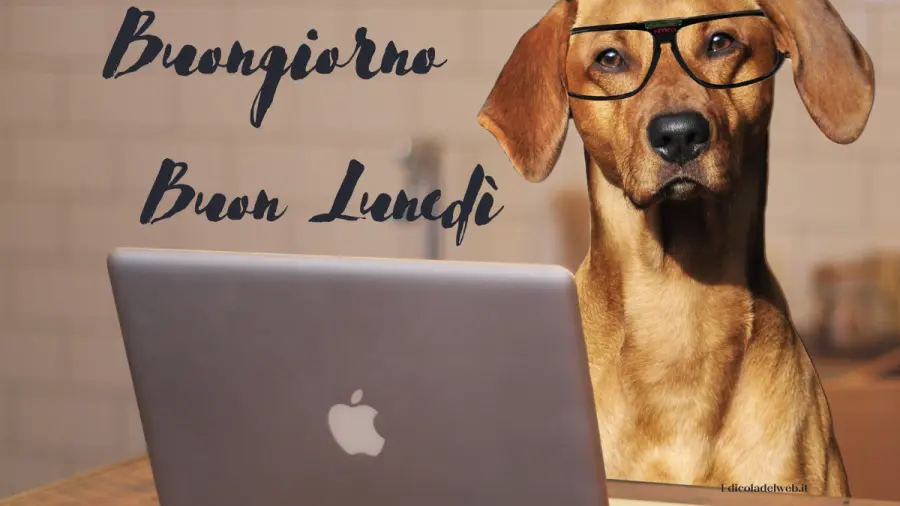 Buongiorno e Buon Lunedì 13 giugno: immagini nuove 2022