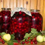 Ricetta Ciliegie sciroppate