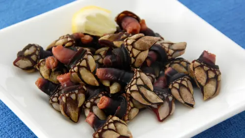 Percebes ricetta: Cosa sono e come si mangiano