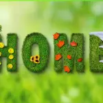 8 piccoli cambiamenti che rendono la tua casa un po' più ecologica