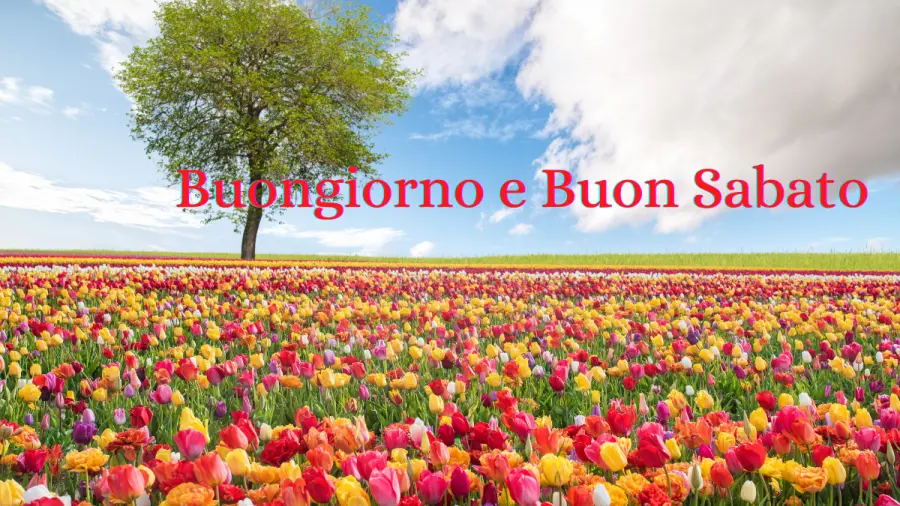 Buongiorno e Buon Sabato 2 aprile: Immagini nuove 2022