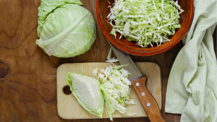 Come cucinare la verza: Idee e ricette