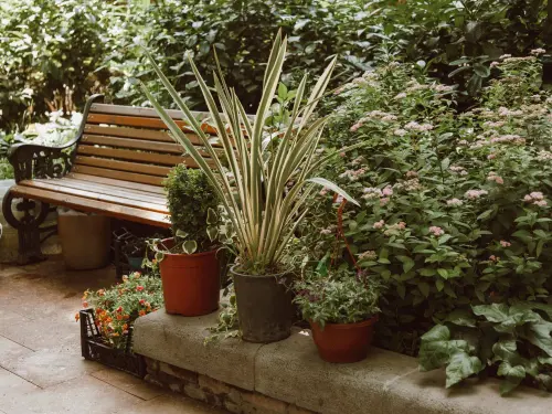 Pergolato Fai da Te: Guida Tecnica per il Giardino