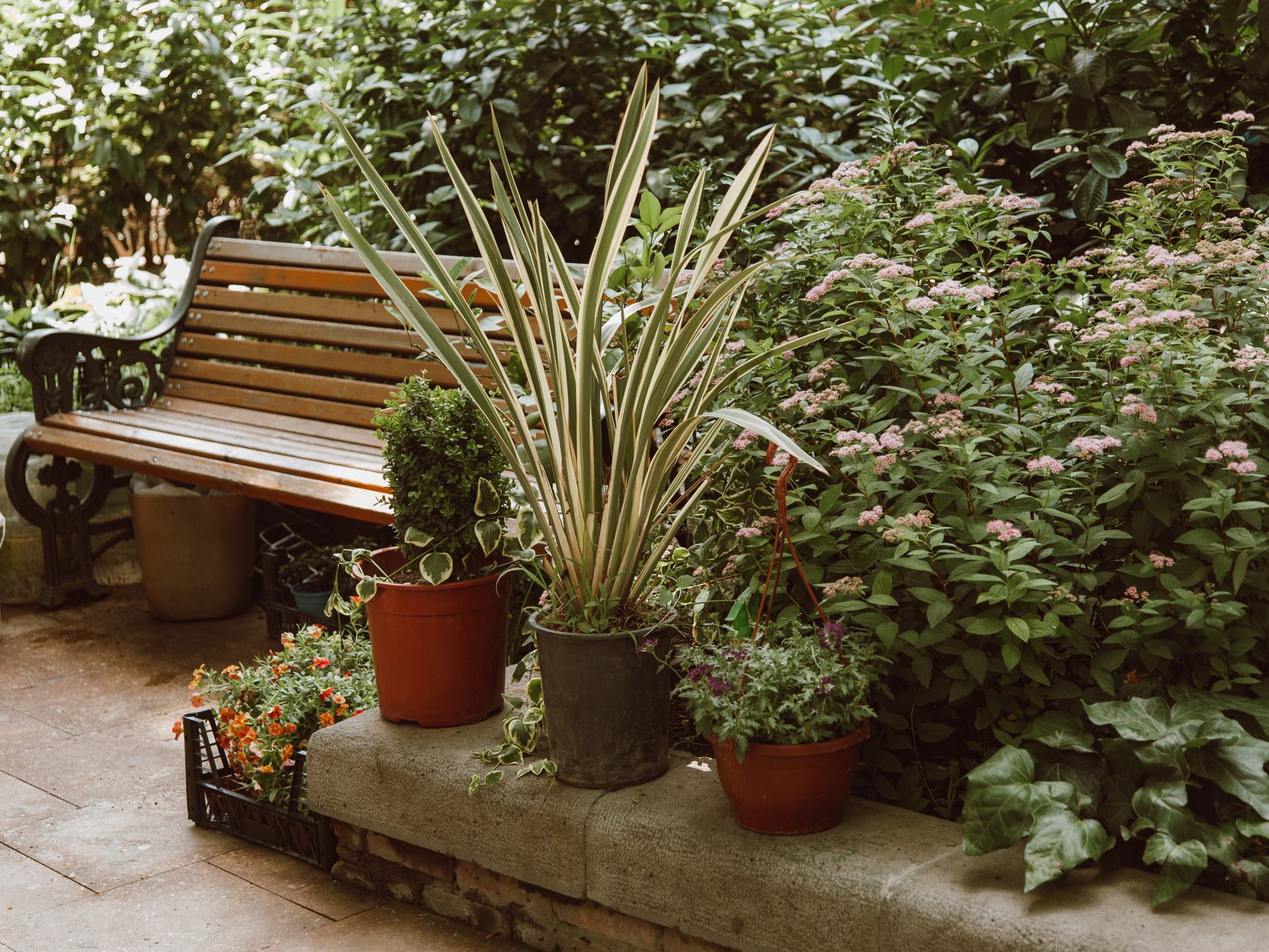 Pergolato Fai da Te: Guida Tecnica per il Giardino