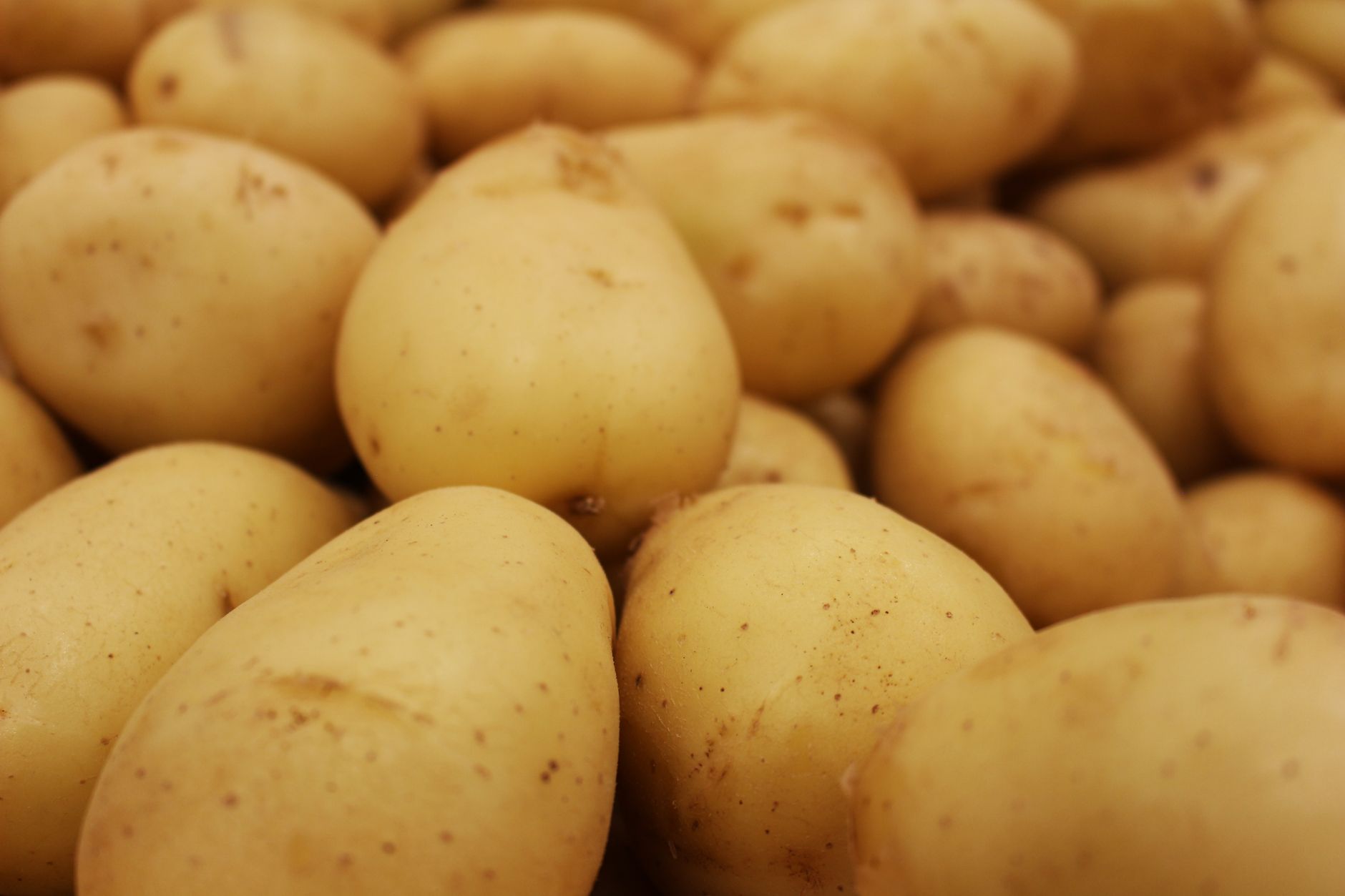 Semina delle patate: quando e come farla
