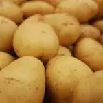 Semina delle patate: quando e come farla