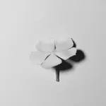 Far durare i fiori recisi: metodi efficaci