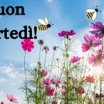 Buongiorno Buon Martedi 14 marzo 2023: immagini e frasi nuove