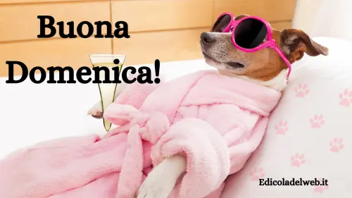 Buongiorno Buona Domenica 12 marzo 2023: immagini e frasi nuove