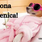 Buongiorno Buona Domenica 12 marzo 2023: immagini e frasi nuove