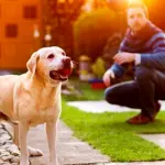 Cane in giardino, alcuni consigli pratici 