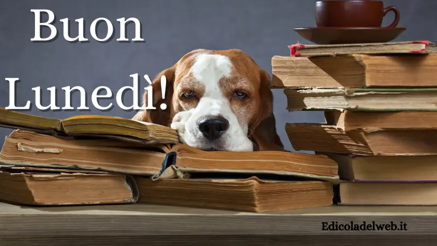 Buongiorno Buon Lunedi 6 marzo 2023: immagini e frasi nuove