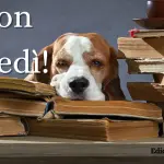 Buongiorno Buon Lunedi 6 marzo 2023: immagini e frasi nuove