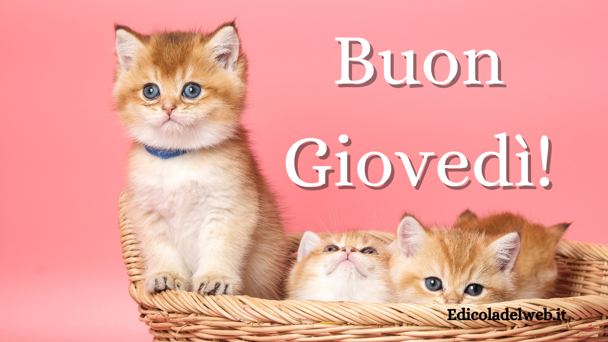 Buongiorno Buon Giovedi 2 marzo 2023: immagini e frasi nuove