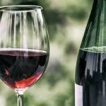 Come conservare i vini in cantina: tutti i metodi di cui servirsi