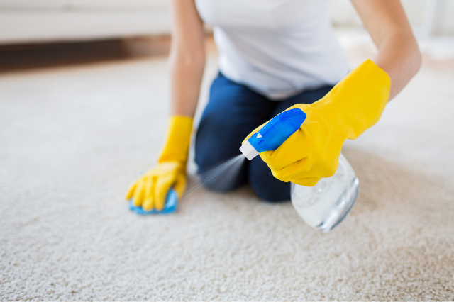 Come pulire i tappeti come pulire il tappeto come lavare un tappeto  come lavare tappeto  pulire tappeto  come lavare il tappeto  lavare i tappeti pulire tappeto con bicarbonato  lavare tappeti 
